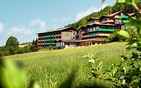 Natura Hotel Bodenmais - Inkl Soft- Und Heissgetraenkeflat